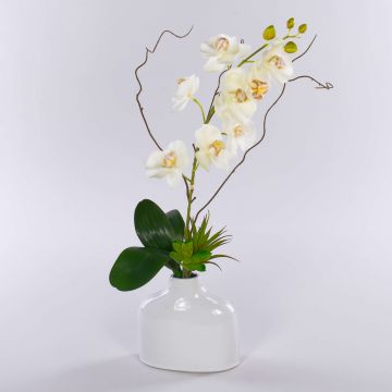 Orchidée artificielle Phalaenopsis TIALDA, plantes succulentes, vase en céramique, blanc, 50cm