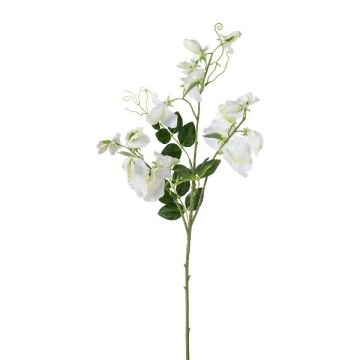 Branche décorative Lathyrus latifolius PLENVO, blanc, 75cm Branche décorative Lathyrus latifolius PLENVO, blanc, 75cm