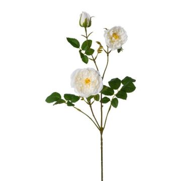 Branche artificielle Pivoine KROVEL, crème, 75cm Branche artificielle Pivoine KROVEL, crème, 75cm
