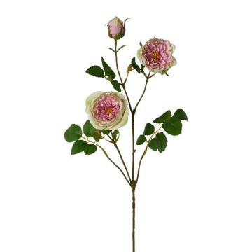 Branche artificielle Pivoine KROVEL, vert-rose, 75cm