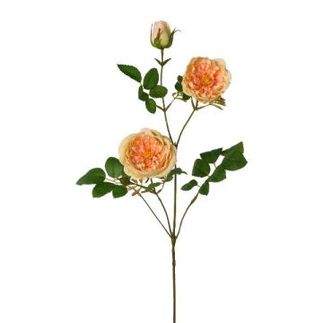 Branche artificielle Pivoine KROVEL, abricot, 75cm Branche artificielle Pivoine KROVEL, abricot, 75cm