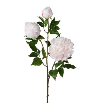 Branche artificielle Pivoine CRUNT, blanc, 85cm