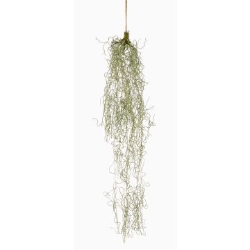 Suspension de tillandsia usneoides artificielle TAMON, vert, 90 cm