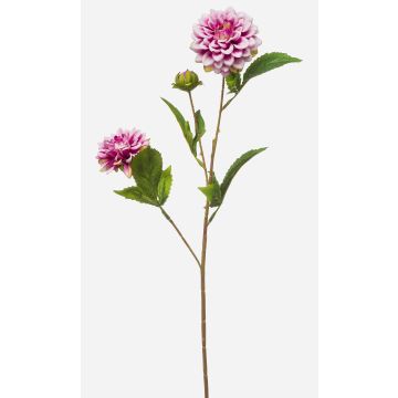 Branche artificielle de dahlia CEVAST, violet-crème, 70 cm, Ø 7-8 cm Branche artificielle de dahlia CEVAST, violet-crème, 70 cm, Ø 7-8 cm