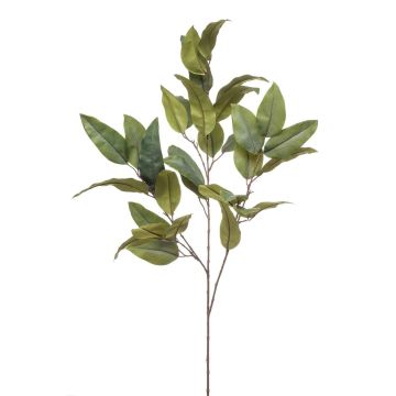 Fausse branche d'eucalyptus BELUNI, vert, 125cm