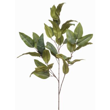 Fausse branche d'eucalyptus BELUNI, vert, 125cm