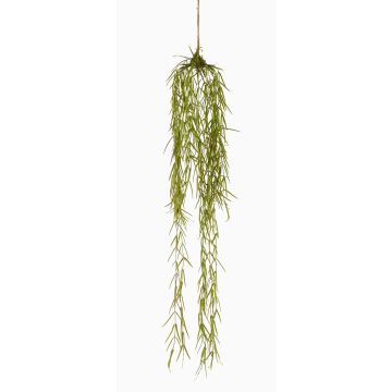 Plante succulente artificielle Chute de hoya linearis TAMON, vert, 90 cm