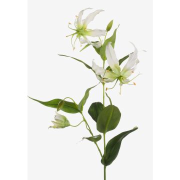 Fleur textile Gloriosa FUJITA, crème-vert, 80cm, Ø15cm