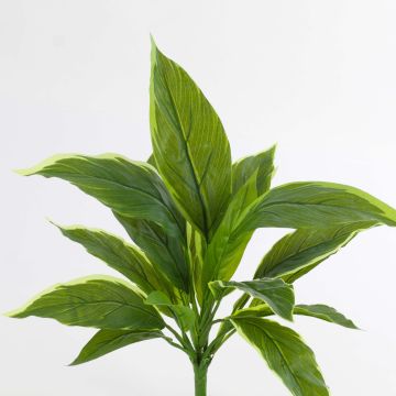 Cordyline artificielle VALDA à piquer, vert-blanc, 30cm Cordyline artificielle VALDA à piquer, vert-blanc, 30cm