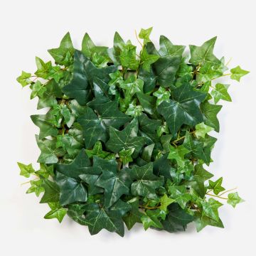 Plante artificielle « haie de lierre » / tapis LUKA, vert, 30 x 30 cm Plante artificielle « haie de lierre » / tapis LUKA, vert, 30 x 30 cm