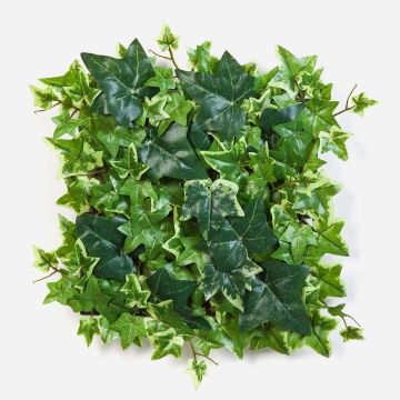 Plante artificielle : haie / tapis de lierre LUKA, vert-blanc, 30 x 30 cm Plante artificielle : haie / tapis de lierre LUKA, vert-blanc, 30 x 30 cm