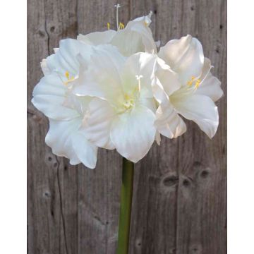 Amaryllis artificielle DAGGI, blanche, 70cm, Ø11-18cm Amaryllis artificielle DAGGI, blanche, 70cm, Ø11-18cm