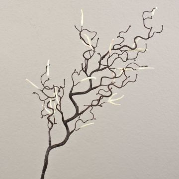 Branche de noisetier synthétique BOLTON avec chatons, brun-blanc, 65cm Branche de noisetier synthétique BOLTON avec chatons, brun-blanc, 65cm