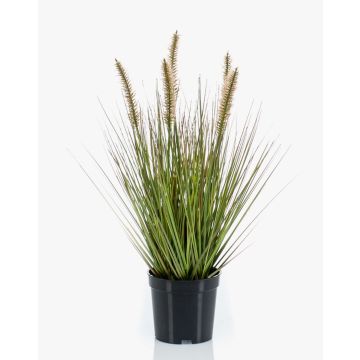 Gazon artificiel décoratif herbe à plumes YWAIN avec panicules, beige-vert, 45cm Gazon artificiel décoratif herbe à plumes YWAIN avec panicules, beige-vert, 45cm