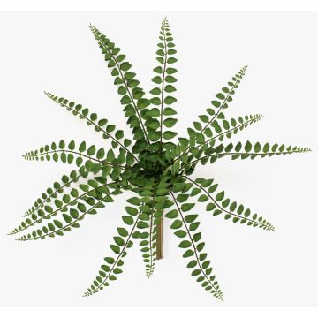 Plante synthétique fougère à feuilles rondes GEVROL sur tige, difficilement inflammable, verte, 35cm Plante synthétique fougère à feuilles rondes GEVROL sur tige, difficilement inflammable, verte, 35cm