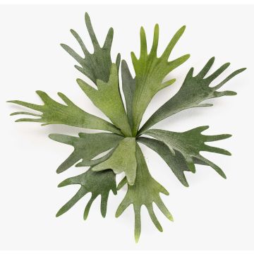 Plante artificielle fougère à bois VIGRAL, tige à enfoncer, difficilement inflammable, verte, 35cm Plante artificielle fougère à bois VIGRAL, tige à enfoncer, difficilement inflammable, verte, 35cm