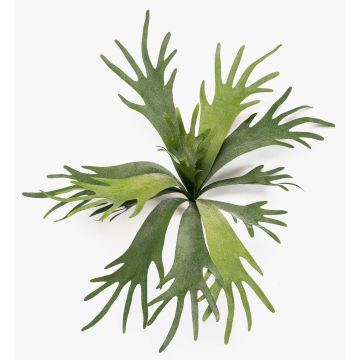 Plante artificielle fougère à cornes VIGRAL, tige, difficilement inflammable, verte, 50cm Plante artificielle fougère à cornes VIGRAL, tige, difficilement inflammable, verte, 50cm