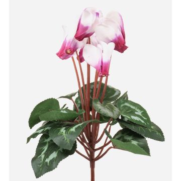 Cyclamen synthétique VERIANA sur tige, blanc-fuchsia, 30cm