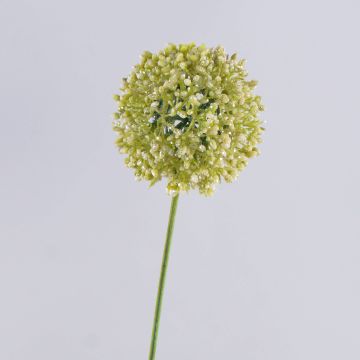 Allium artificiel HELLA, pailleté, vert crème, 75 cm, Ø 11 cm Allium artificiel HELLA, pailleté, vert crème, 75 cm, Ø 11 cm