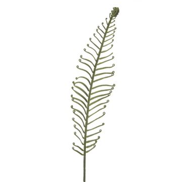 Feuille artificielle de fougère royale DRAGU, verte, 95cm