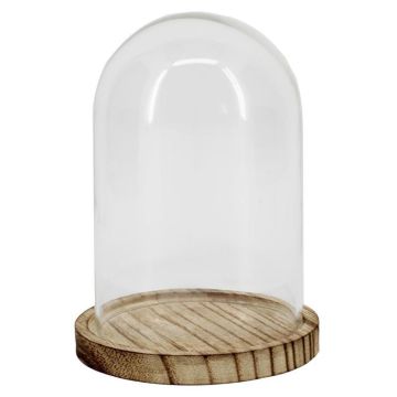 Cloche en verre DANILLA avec socle en bois marbré, transparente, 13 cm, Ø 9,5 cm Cloche en verre DANILLA avec socle en bois marbré, transparente, 13 cm, Ø 9,5 cm
