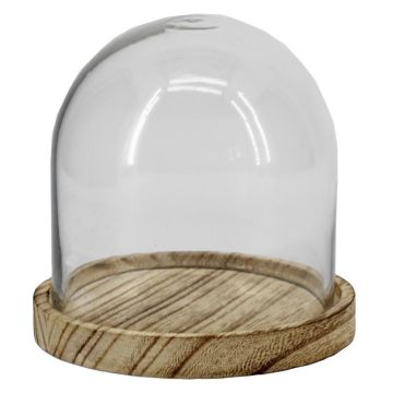 Cloche en verre DANILLA avec socle en bois marbré, transparente, 10 cm, Ø 10 cm Cloche en verre DANILLA avec socle en bois marbré, transparente, 10 cm, Ø 10 cm