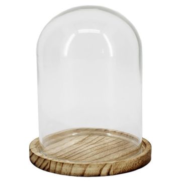 Cloche en verre DANILLA avec socle, bois marbré, transparente, 14,5cm, Ø11,5cm Cloche en verre DANILLA avec socle, bois marbré, transparente, 14,5cm, Ø11,5cm