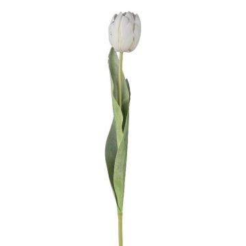 Fleur artificielle Tulipe GUSNAV, blanc, 50cm, Ø5cm