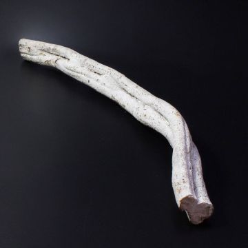 Produit naturel liane Cipo Rosca MALINDI, séché, blanc, 70cm, Ø8cm