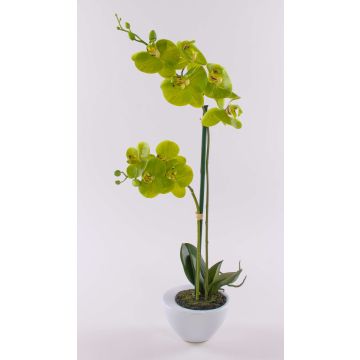 Orchidée Phalaenopsis artificielle AURELIA dans un pot en céramique, verte, 55 cm