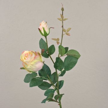 Rose synthétique CARUSA, rose-crème, 80cm, Ø8cm Rose synthétique CARUSA, rose-crème, 80cm, Ø8cm