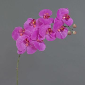 Orchidée Phalaenopsis artificielle sur tige AURELIA, fuchsia, 95cm