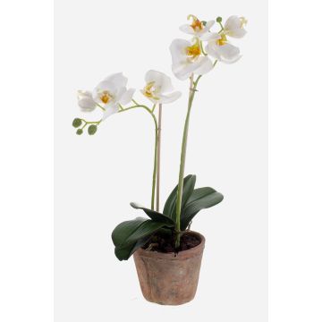 Orchidée Phalaenopsis artificielle MINA dans un pot en terre cuite, blanche, 45 cm