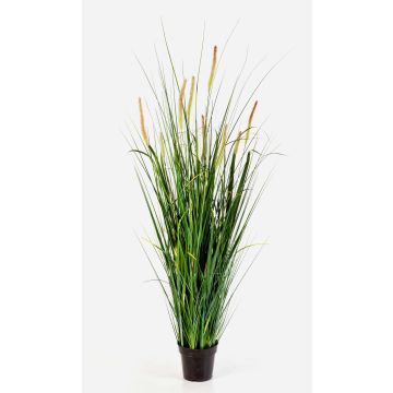 Künstliches Fuchsschwansgras FEHMI mit Rispen, grün, 140cm Künstliches Fuchsschwansgras FEHMI mit Rispen, grün, 140cm