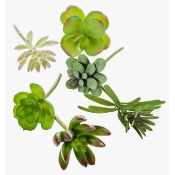 Succulentes artificielles JADON, à piquer, 6 pièces, vert, 13cm, Ø5cm