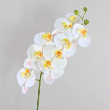 Fausse orchidée Phalaenopsis OPHELIA, blanc, 100cm