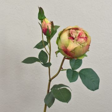 Rose pommée artificielle MIRETTA, vert-bordeaux, 60 cm, Ø 3-9 cm Rose pommée artificielle MIRETTA, vert-bordeaux, 60 cm, Ø 3-9 cm