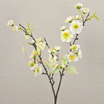 Branche de cerisier artificielle SOEY avec fleurs, crème-blanc, 45cm, Ø2-4,5cm Branche de cerisier artificielle SOEY avec fleurs, crème-blanc, 45cm, Ø2-4,5cm