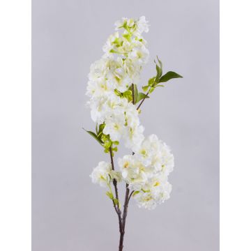 Fleur artificielle: branche de cerisier MATSUDA avec fleurs, crème-blanc, 80cm, Ø6-11cm Fleur artificielle: branche de cerisier MATSUDA avec fleurs, crème-blanc, 80cm, Ø6-11cm