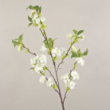 Fleur artificielle: branche de cerisier MATSUDA avec fleurs, crème-blanc, 130cm, Ø6-11cm Fleur artificielle: branche de cerisier MATSUDA avec fleurs, crème-blanc, 130cm, Ø6-11cm