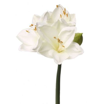 Amaryllis artificiel BENITA, blanc, 55cm, Ø10cm Amaryllis artificiel BENITA, blanc, 55cm, Ø10cm