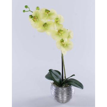 Orchidée artificielle Phalaenopsis EMILIA, pot décoratif, vert crème, 45 cm Orchidée artificielle Phalaenopsis EMILIA, pot décoratif, vert crème, 45 cm