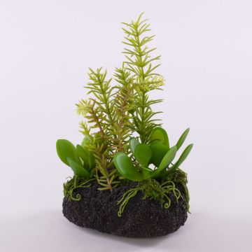 Composition de plantes succulentes artificielles BAMBI dans une motte de terre, verte, 19cm