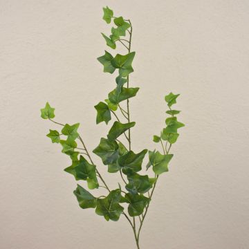 Branche de lierre synthétique DEXTER, verte, 65 cm Branche de lierre synthétique DEXTER, verte, 65 cm