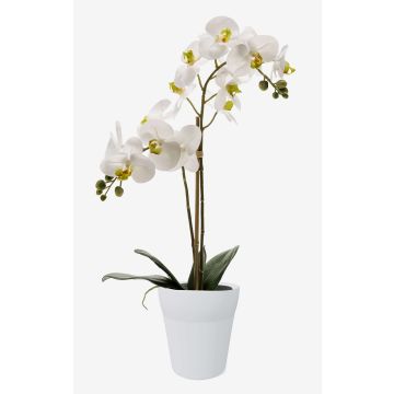 Orchidée artificielle Phalaenopsis CANDIDA dans un pot en céramique, blanc, 65 cm Orchidée artificielle Phalaenopsis CANDIDA dans un pot en céramique, blanc, 65 cm