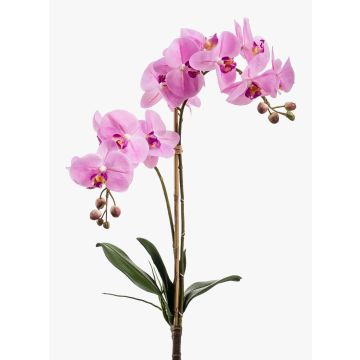Fausse orchidée Phalaenopsis CANDIDA à planter, rose, 65cm Fausse orchidée Phalaenopsis CANDIDA à planter, rose, 65cm