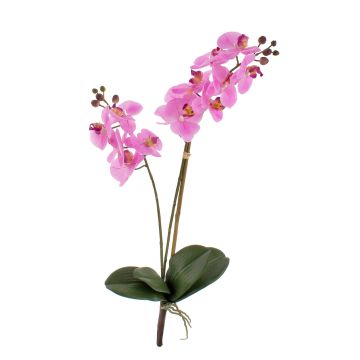 Fausse orchidée Phalaenopsis CANDIDA à planter, rose, 65cm Fausse orchidée Phalaenopsis CANDIDA à planter, rose, 65cm