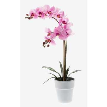Orchidée artificielle Phalaenopsis CANDIDA dans un pot en céramique, rose, 65 cm Orchidée artificielle Phalaenopsis CANDIDA dans un pot en céramique, rose, 65 cm