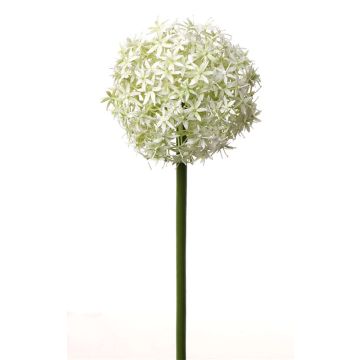 Allium artificiel SAMARA, crème, 75cm, Ø12cm