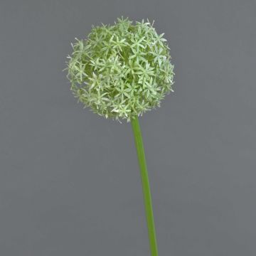 Allium artificiel SAMARA, crème, 75cm, Ø12cm